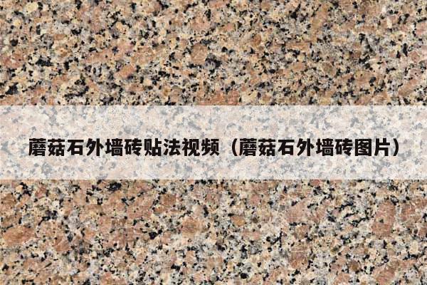 蘑菇石外墙砖贴法视频(蘑菇石外墙砖图片)