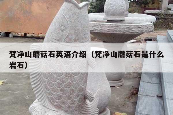 梵净山蘑菇石英语介绍(梵净山蘑菇石是什么岩石)