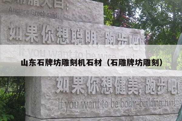 山东石牌坊雕刻机石材(石雕牌坊雕刻)