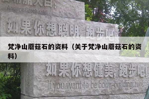 梵净山蘑菇石的资料(关于梵净山蘑菇石的资料)