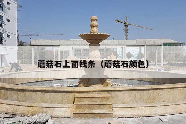 蘑菇石上面线条(蘑菇石颜色)