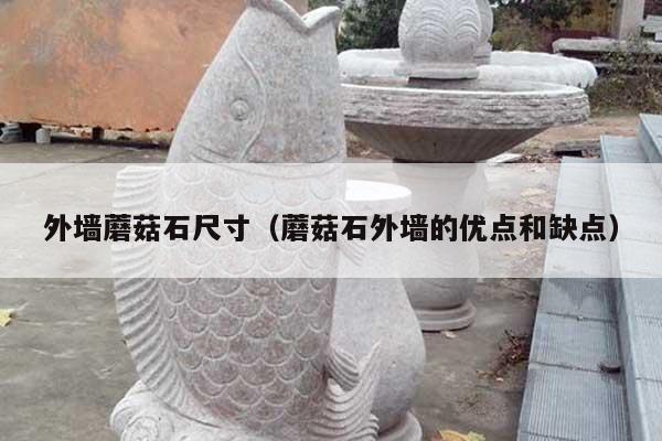 外墙蘑菇石尺寸(蘑菇石外墙的优点和缺点)