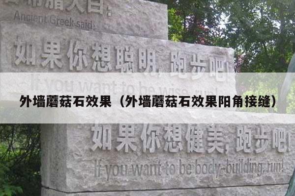 外墙蘑菇石效果(外墙蘑菇石效果阳角接缝)