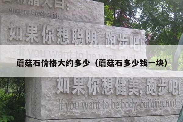 蘑菇石价格大约多少(蘑菇石多少钱一块)