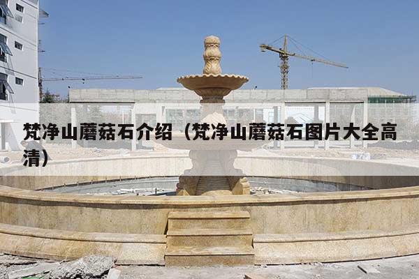 梵净山蘑菇石介绍(梵净山蘑菇石图片大全高清)