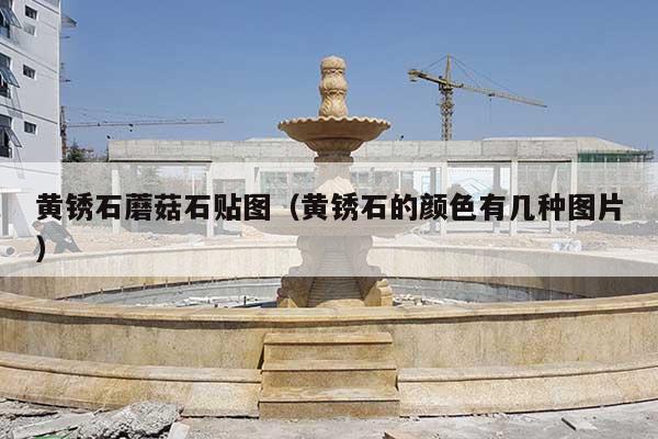 黄锈石蘑菇石贴图(黄锈石的颜色有几种图片)