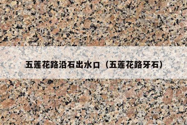 五莲花路沿石出水口(五莲花路牙石)