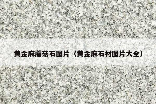 黄金麻蘑菇石图片(黄金麻石材图片大全)