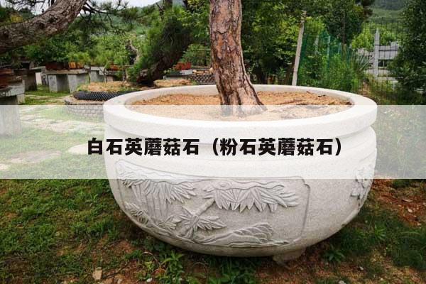 白石英蘑菇石(粉石英蘑菇石)