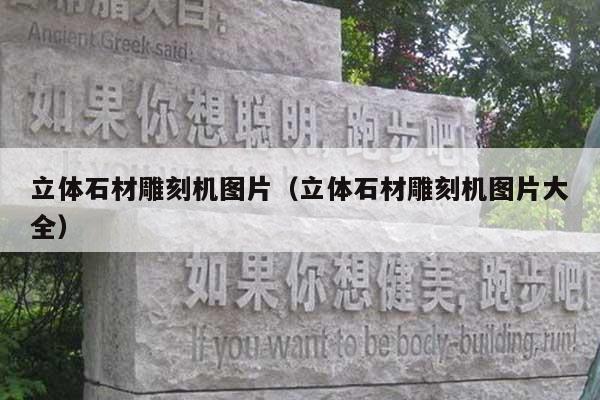 立体石材雕刻机图片(立体石材雕刻机图片大全)