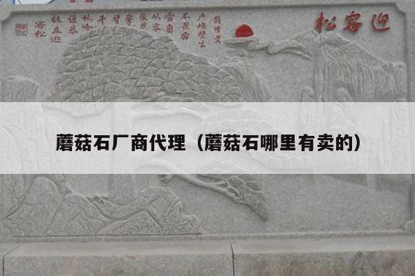 蘑菇石厂商代理(蘑菇石哪里有卖的)