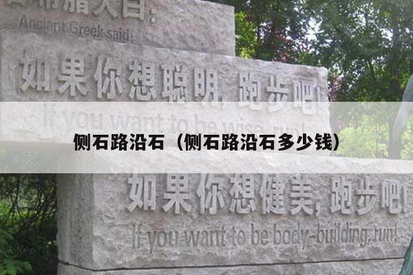 侧石路沿石(侧石路沿石多少钱)
