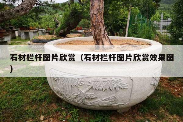 石材栏杆图片欣赏(石材栏杆图片欣赏效果图)