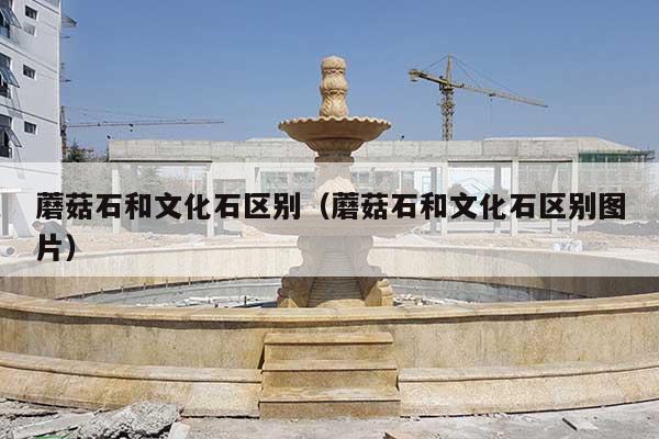蘑菇石和文化石区别(蘑菇石和文化石区别图片)