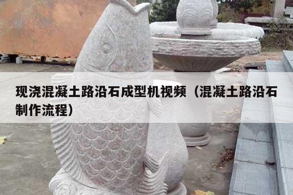 现浇混凝土路沿石成型机视频(混凝土路沿石制作流程)